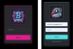 Login Options_Zype Portals