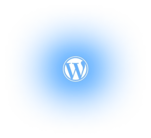 connectors-wordpress